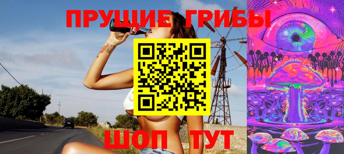 Псилоцибиновые грибы Psilocybine cubensis Советск