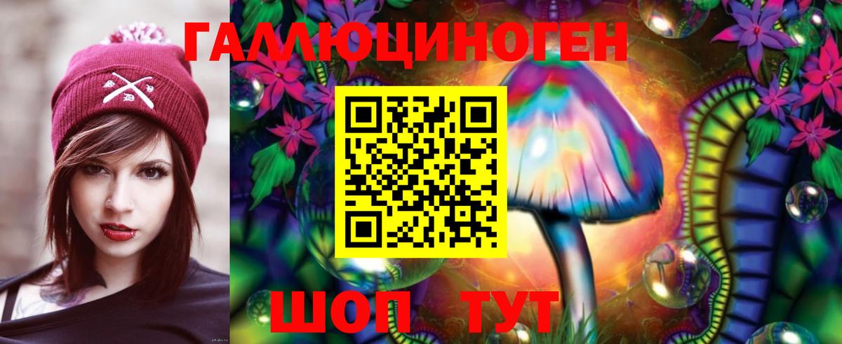 Советск  Галлюциногенные грибы Psilocybe  Вход с VPN  Галлюциногенные грибы GOLDEN TEACHER 